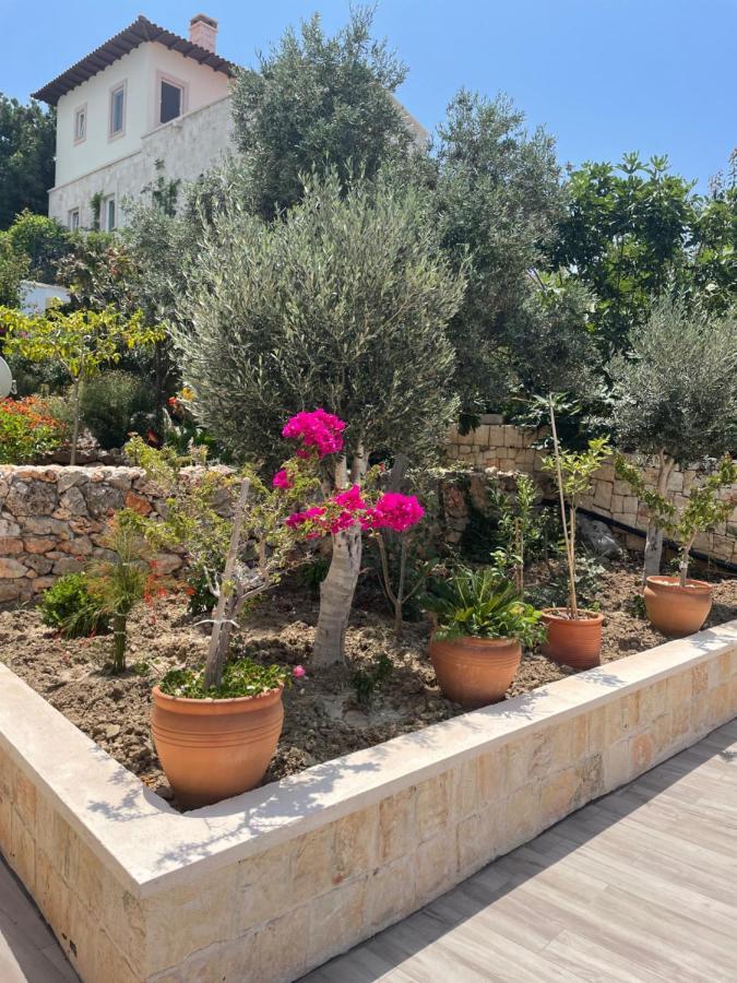 Villa Xanthos كاس المظهر الخارجي الصورة